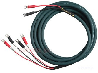 Cardas Parsec Lautsprecher - Zweidraht - ban-ban