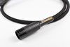 Audiomica Calcit Gold – XLR