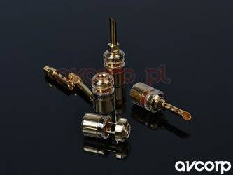 Supra CombiCon Banane - BFA-Stecker