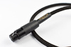 Audiomica Calcit Gold – XLR