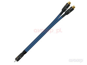 Wireworld OASIS 7 - Y RCA M-FF Adapter (OAIYMFF)