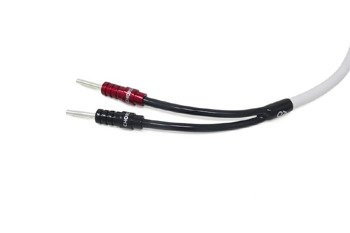 Akkord C-Schirm - Einzeldraht - Bananen ChordOhmic