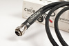 Chord Signature Gestimmtes ARAY - 2RCA-5DIN
