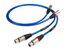 Akkord Clearway - XLR