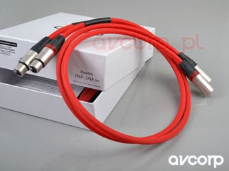 Akkord Shawline- XLR