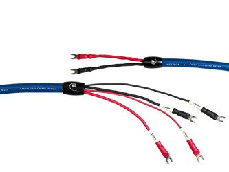 Cardas Clear Cygnus Lautsprecher - Zweidraht - Bananen