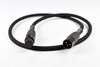 Audiomica Calcit Gold – XLR