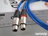 Akkord Clearway - XLR